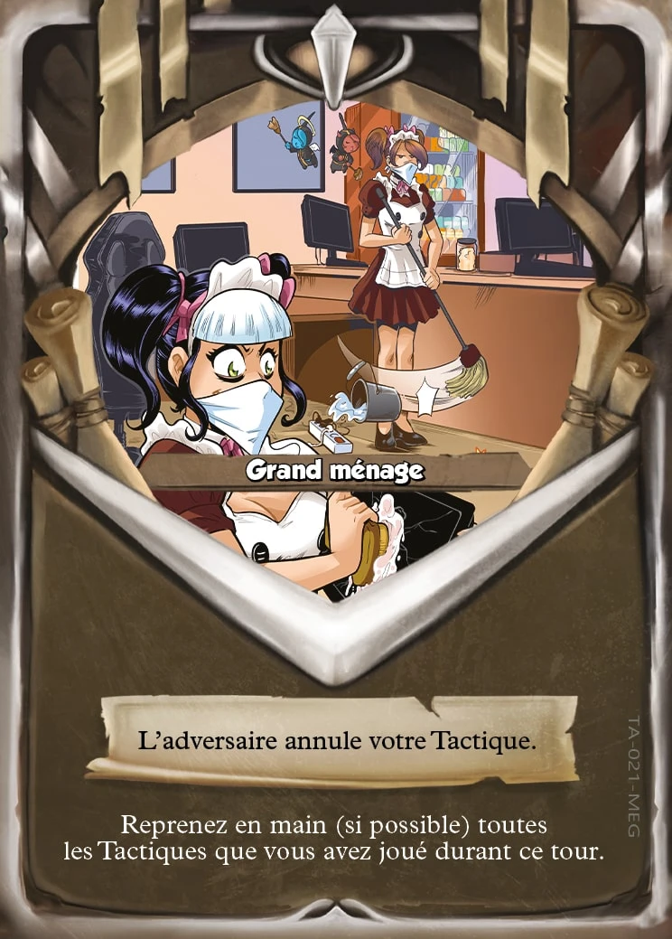 Carte Grand ménage